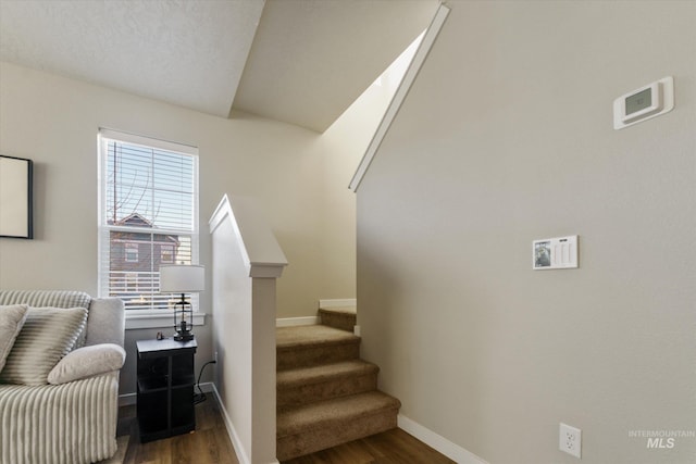 stairway featuring wood-type flooring