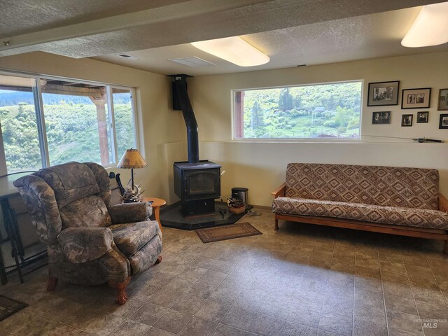 interior space with plenty of natural light, a wood stove, and a textured ceiling