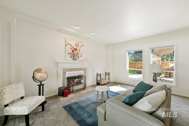 9874 W Whirlaway Ct, Boise, ID 83704 - living area with carpet flooring, a premium fireplace, and baseboards