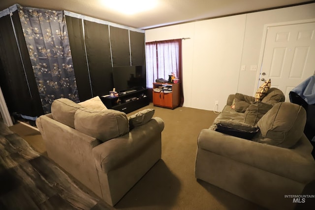 interior space featuring carpet floors