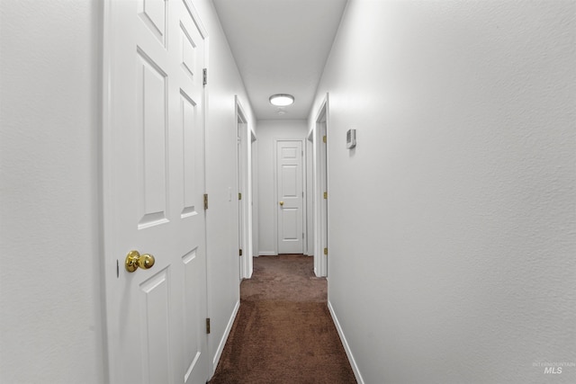 7842 Arlington Dr, Nampa, ID 83687 - hall featuring dark colored carpet and baseboards