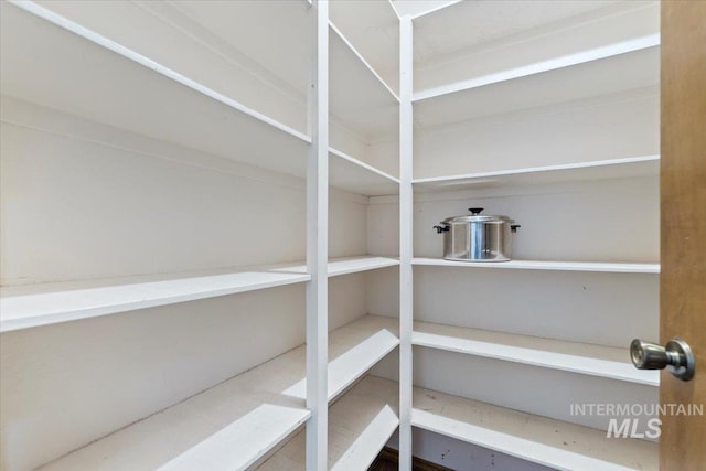 3428 N Columbine Ave, Boise, ID 83713 - view of pantry