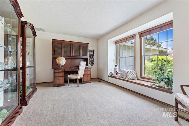 3428 N Columbine Ave, Boise, ID 83713 - office with light colored carpet, baseboards, and a textured ceiling