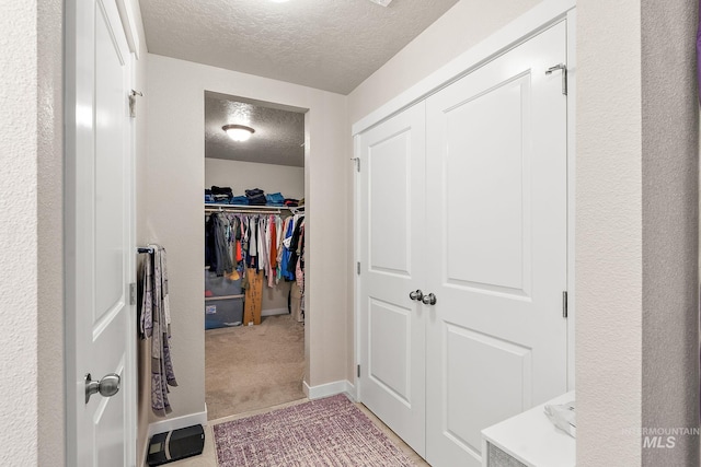 spacious closet featuring light colored carpet