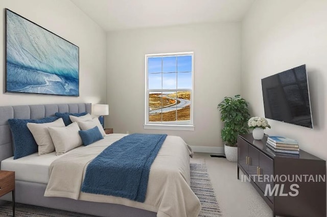 5207 W Kloe Ct Unit 808, Boise, ID 83714 - carpeted bedroom with baseboards
