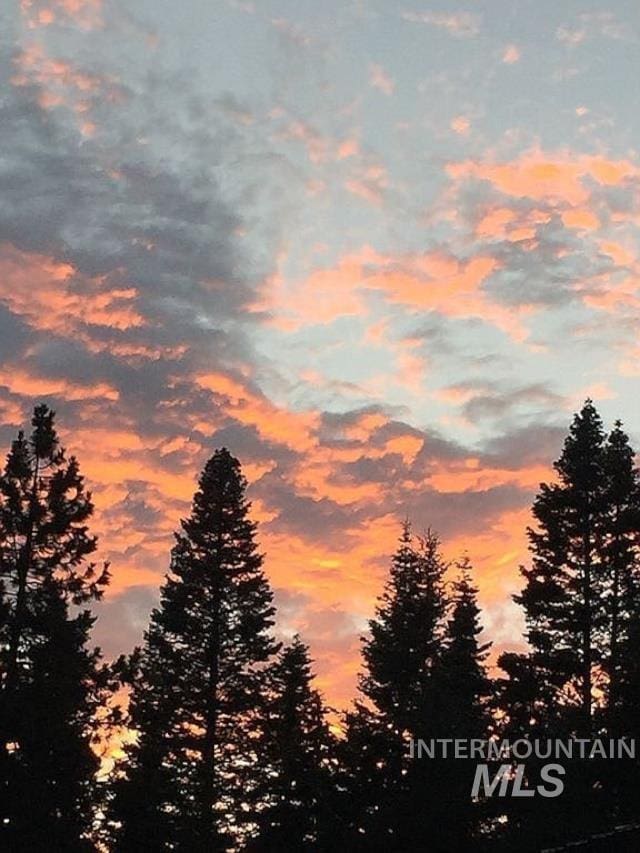 view of nature at dusk