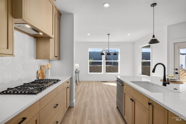 5687 S Snowden Ave, Meridian, ID 83642 - kitchen featuring light wood-type flooring, a sink, backsplash, stainless steel appliances, and a healthy amount of sunlight