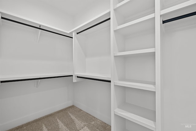 5687 S Snowden Ave, Meridian, ID 83642 - walk in closet with carpet