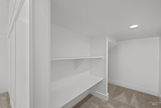5687 S Snowden Ave, Meridian, ID 83642 - spacious closet with carpet flooring