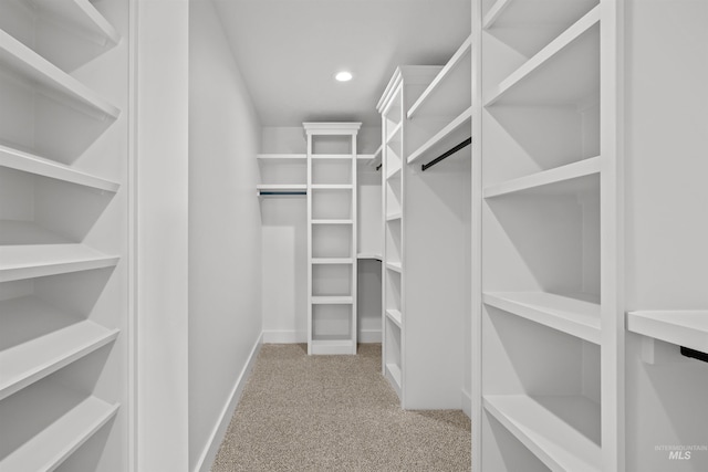 5687 S Snowden Ave, Meridian, ID 83642 - spacious closet featuring carpet floors