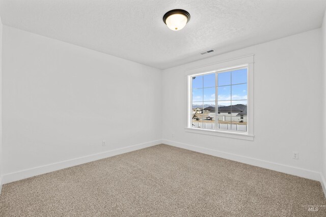 5687 S Snowden Ave, Meridian, ID 83642 - carpeted empty room with visible vents, baseboards, and a textured ceiling