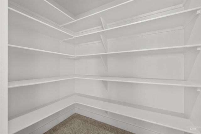 5687 S Snowden Ave, Meridian, ID 83642 - view of pantry