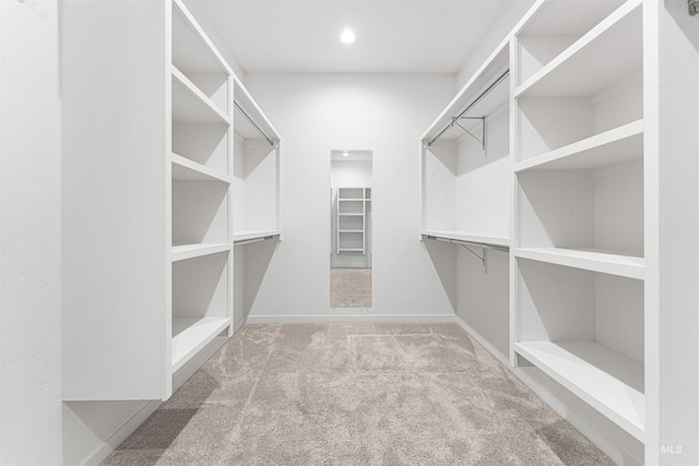 4135 N Hawkeye Pl, Boise, ID 83703 - spacious closet with carpet flooring