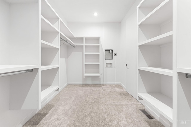 4135 N Hawkeye Pl, Boise, ID 83703 - spacious closet with carpet floors