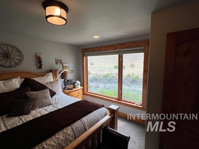 carpeted bedroom with multiple windows