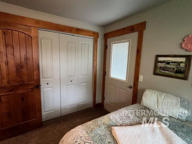 bedroom with a closet and dark colored carpet