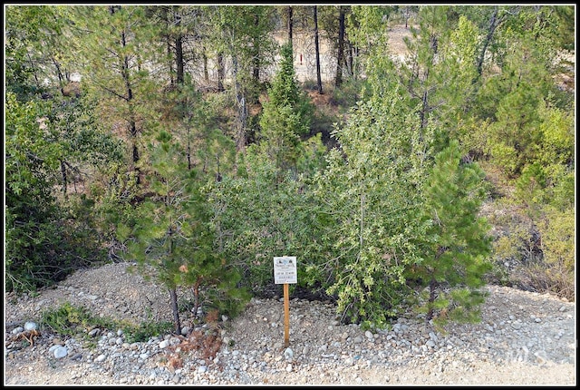 LOT58 Mores Creek Dr, Idaho City ID, 83631 land for sale