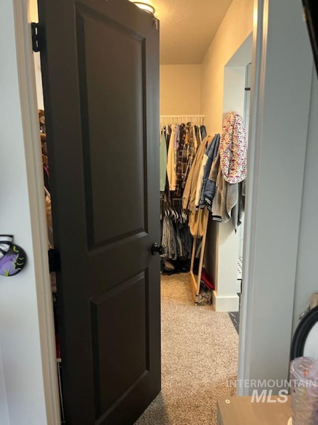 walk in closet featuring carpet flooring