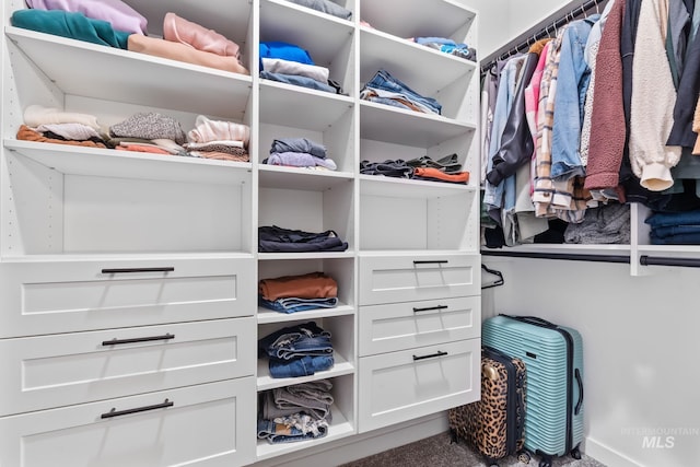 2114 W Claira Rd, Nampa, ID 83651 - spacious closet featuring carpet floors