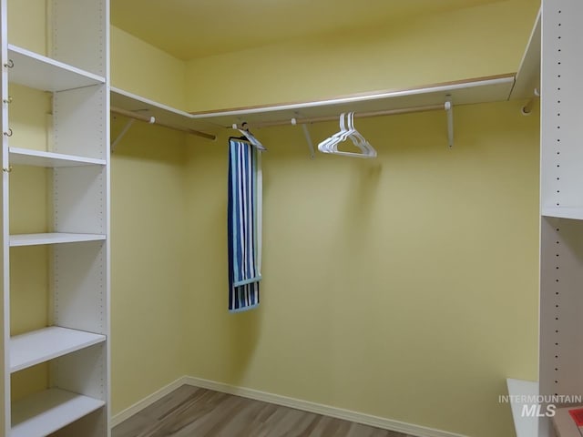 spacious closet featuring light wood-type flooring