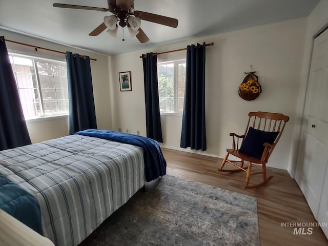 bedroom with wood-type flooring, a closet, and ceiling fan