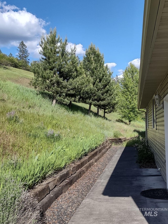 view of yard with a patio