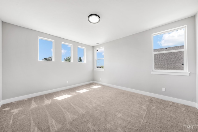 unfurnished room featuring carpet