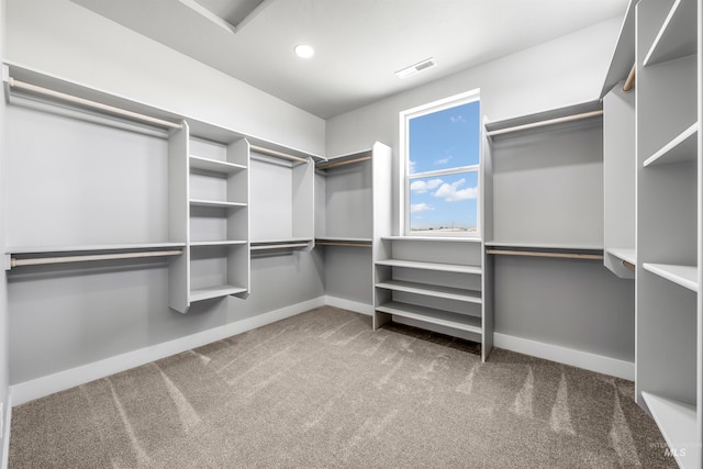 walk in closet with carpet flooring