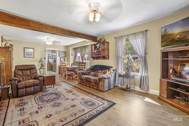 3242 S 2000 E, Wendell, ID 83355 - living area featuring a healthy amount of sunlight, a textured ceiling, a ceiling fan, and wood finished floors