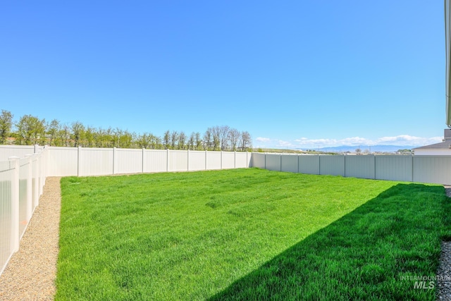 8900 W Snow Wolf Dr, Star, ID 83669 - view of yard
