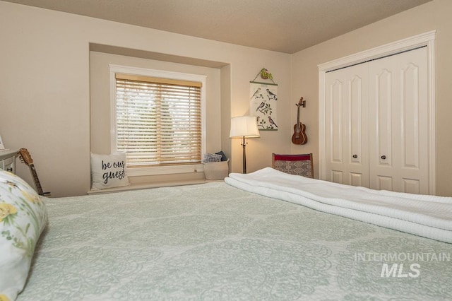 15697 Cupid Dr, Caldwell, ID 83607 - bedroom with a closet