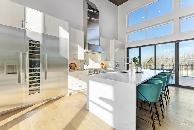 kitchen with white cabinets, sink, stainless steel appliances, and range hood