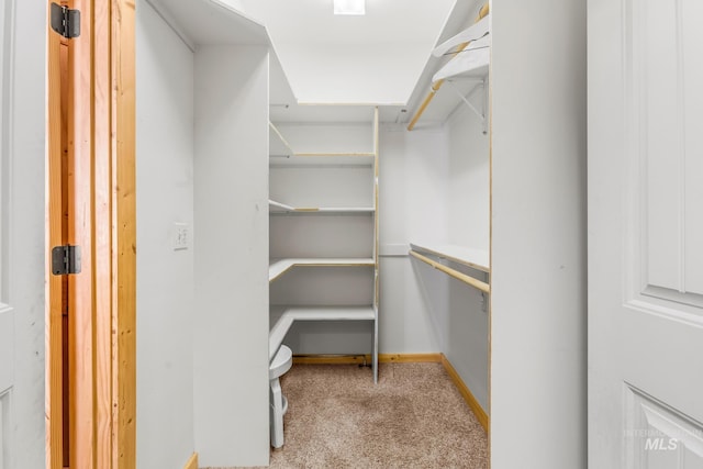 10389 Gamann Dr, Cascade, ID 83611 - walk in closet with carpet floors