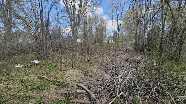 view of nature