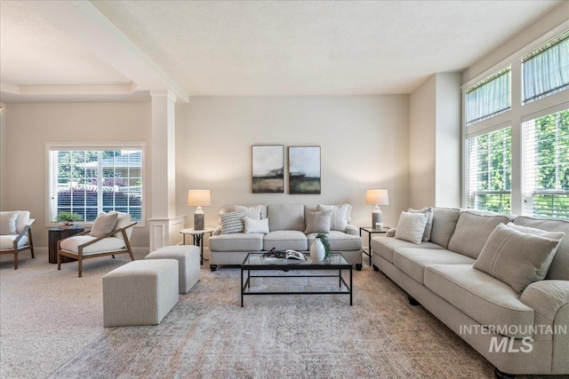 carpeted living area with ornate columns