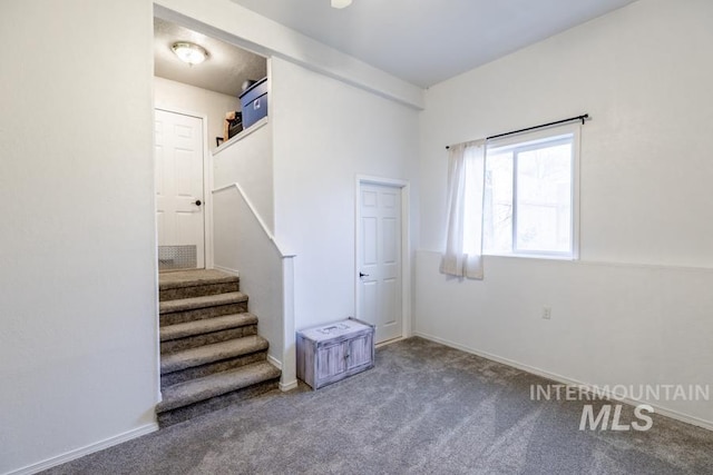 stairway with baseboards and carpet floors