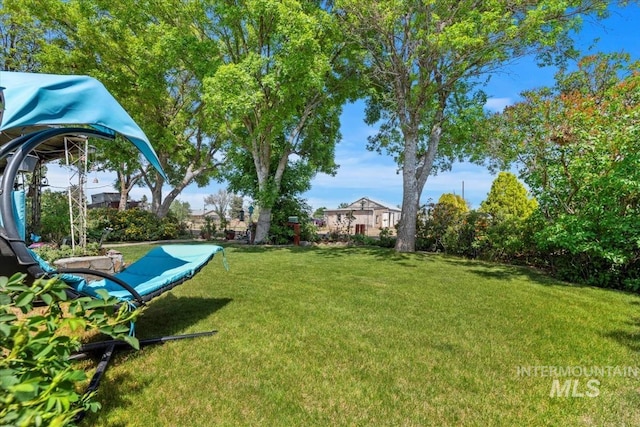764 NW Beaman St, Mountain Home, ID 83647 - view of green lawn