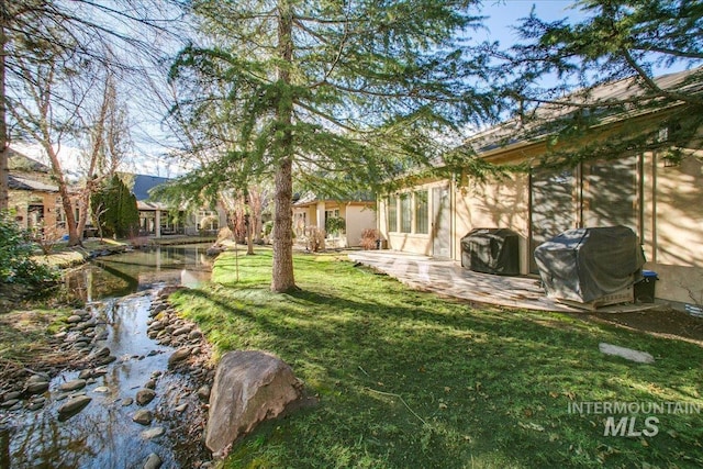view of yard featuring a patio area