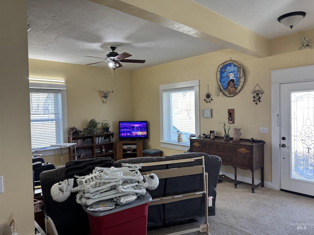 145 N Lincoln, Oakley, ID 83346 - living area featuring plenty of natural light, carpet, baseboards, and ceiling fan