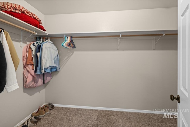 12339 W Foxhaven St, Star, ID 83669 - walk in closet featuring carpet flooring