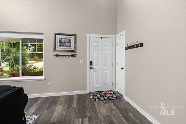 12339 W Foxhaven St, Star, ID 83669 - foyer featuring wood finished floors
