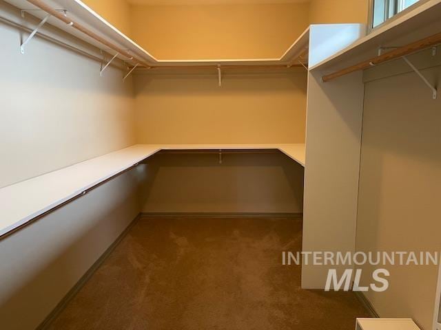 2655 13th St, Clarkston, WA 99403 - spacious closet featuring carpet floors