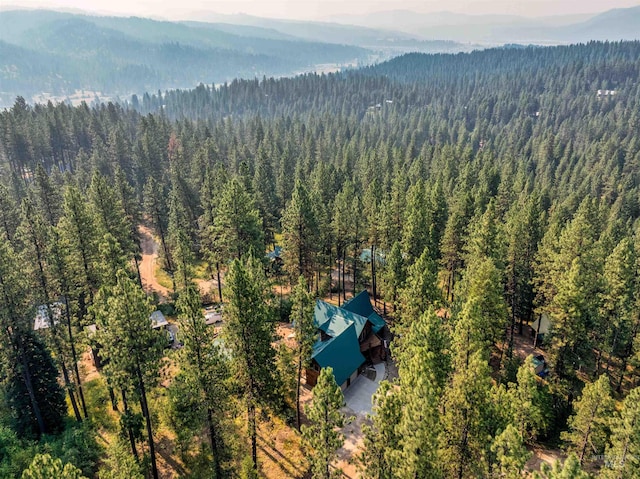 bird's eye view with a mountain view