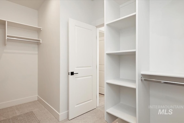 spacious closet with light carpet