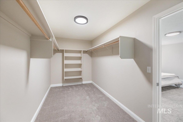 1499 E Sicily St, Meridian, ID 83642 - walk in closet with carpet flooring