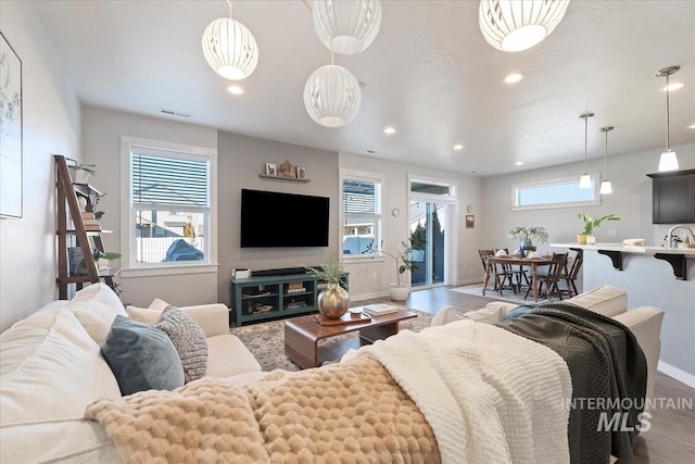 living room featuring hardwood / wood-style floors and sink