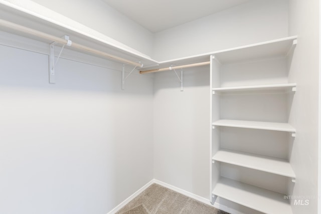 277 N Coltsfoot Ave, Kuna, ID 83634 - walk in closet featuring carpet floors