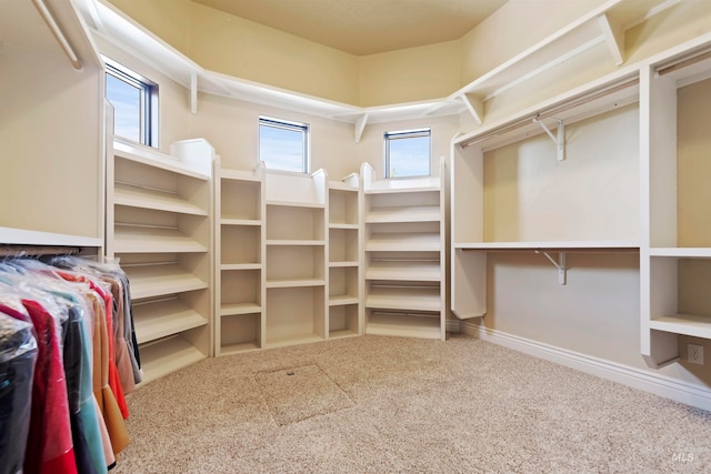 walk in closet featuring carpet flooring