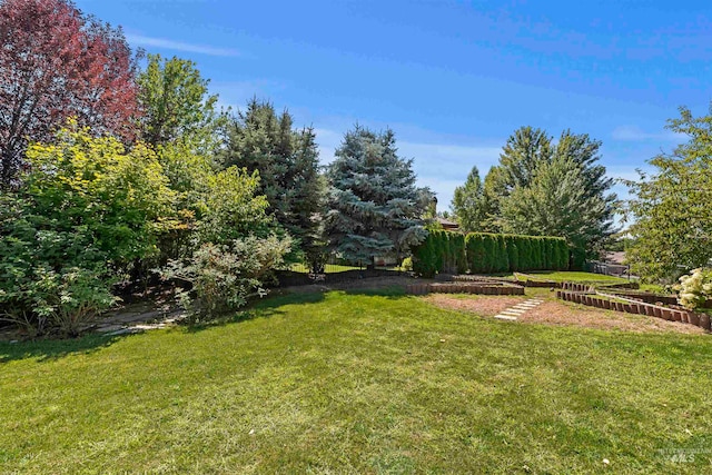 view of grassy yard
