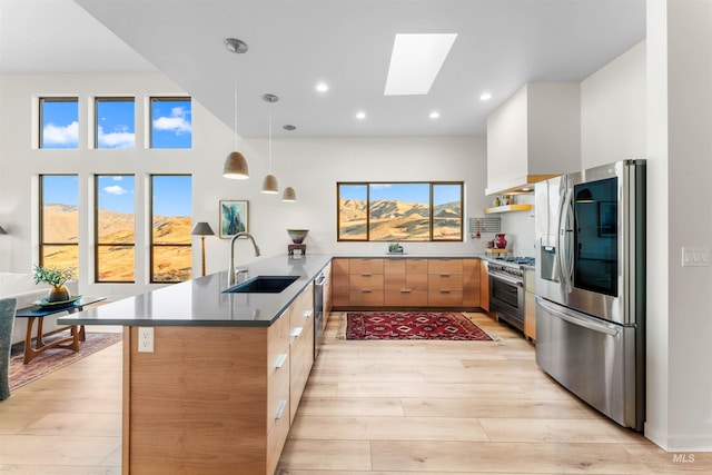 kitchen with a skylight, modern cabinets, appliances with stainless steel finishes, light wood-style floors, and a sink